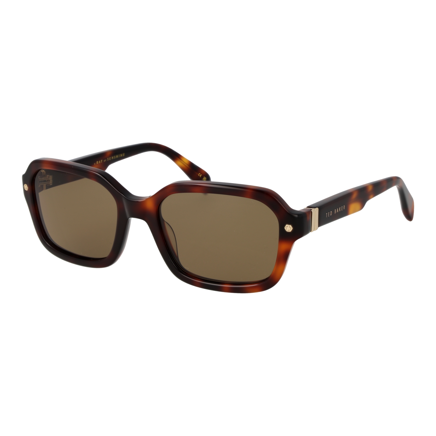 Ted Baker TED BAKER MOD. TB1697 55101